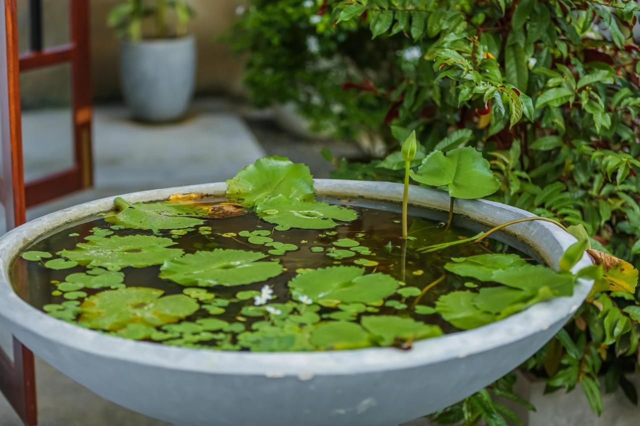 Saku Residence Unawatuna Zewnętrze zdjęcie